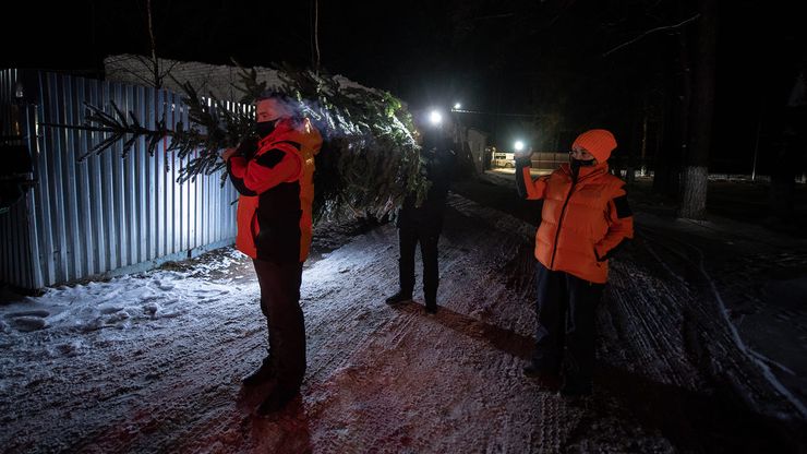 Галерея Новый год