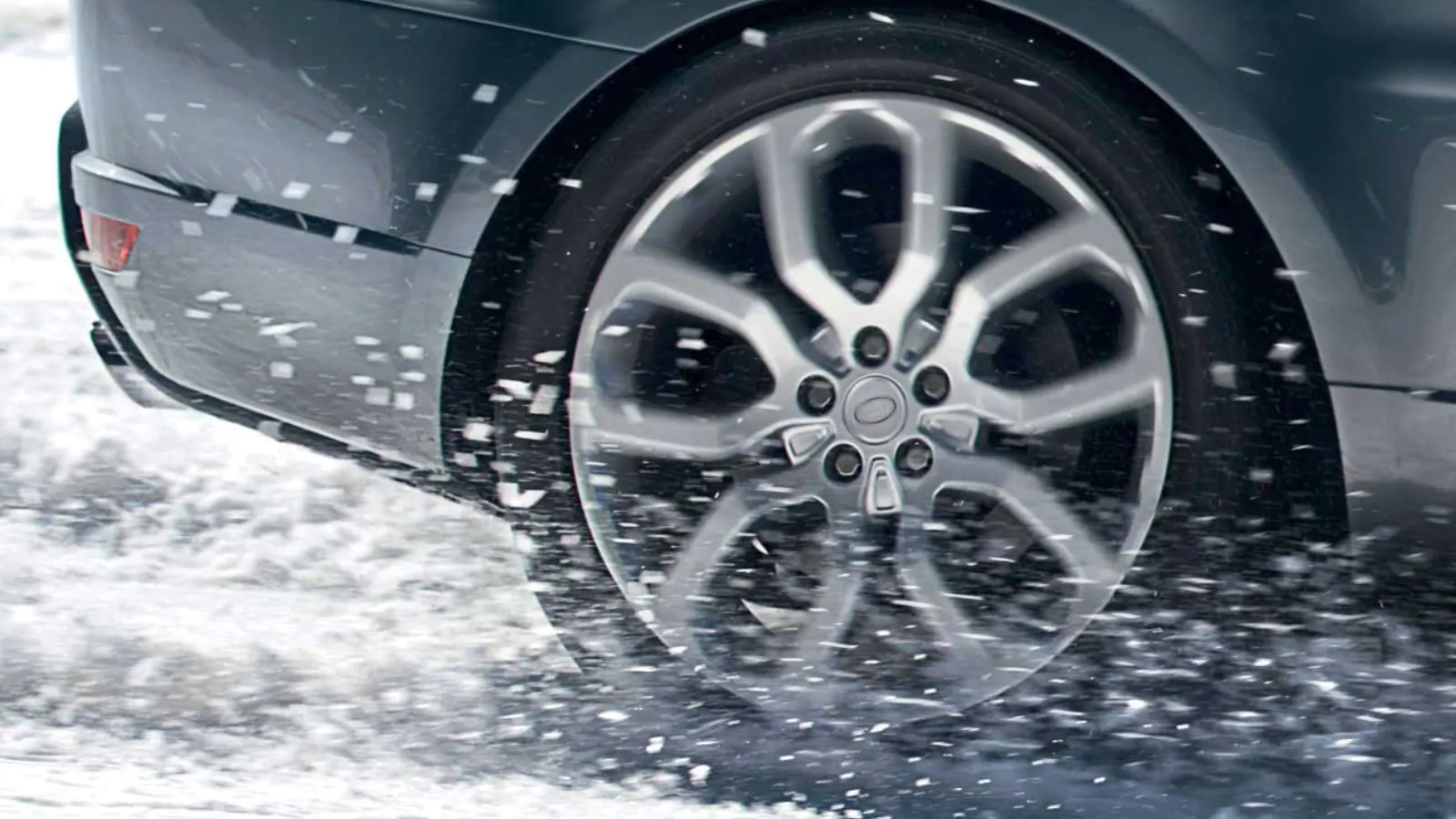 СПЕЦИАЛЬНЫЕ ПРОГРАММЫ 